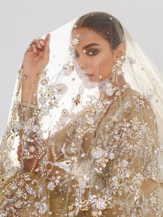 कौन हैं चर्चित पाकिस्तानी मॉडल एरिका रॉबिन?