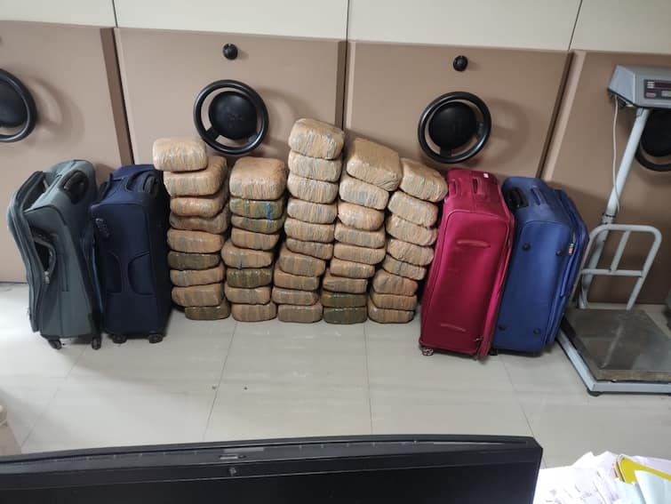 Smuggling of ganja in Konark Express 90 kg of ganja seized from Pune railway station action taken by customs department Pune Crime news : कोणार्क एक्सप्रेसमध्ये गांजाची तस्करी; पुणे रेल्वे स्थानकावरुन 90 किलो गांजा जप्त, कस्टम विभागाची कारवाई