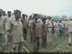 सरकारी नौकरी करता था हाथी, मौत पर श्रद्धांजलि देने को उमड़े सैंकड़ों लोग, जानें पूरा मामला