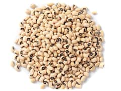 शरीर को ज्यादा प्रोटीन चाहिए तो इस दाल का करें इस्तेमाल, मिलेंगे दूध, अंडा और चिकन से भी ज्यादा