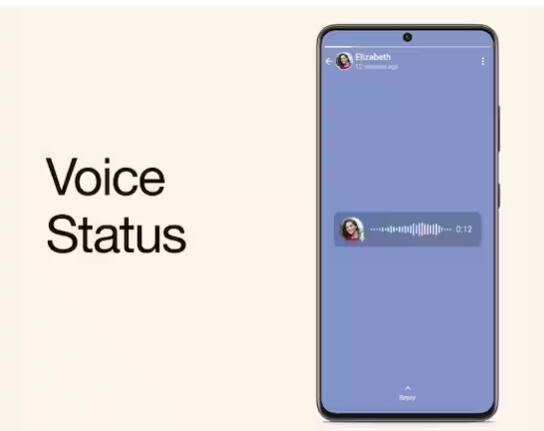 Voice note ਐਂਡ Pin Chats: ਤੁਸੀਂ Voice note ਨੂੰ ਵਟਸਐਪ 'ਤੇ ਸਟੇਟਸ ਅਤੇ ਐਪ ਦੇ ਟਾਪ 'ਤੇ ਮਹੱਤਵਪੂਰਣ ਚੈਟਾਂ ਦੇ ਰੂਪ ਵਿੱਚ ਪਿੰਨ ਕਰ ਸਕਦੇ ਹੋ। ਤੁਸੀਂ ਸਥਿਤੀ ਵਿੱਚ 30 ਸਕਿੰਟ ਦਾ Voice note ਸੈਟ ਕਰ ਸਕਦੇ ਹੋ।