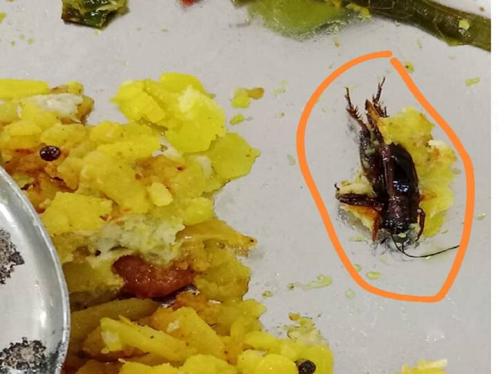 एका विद्यार्थ्याच्या जेवणात झुरळ आढळले.