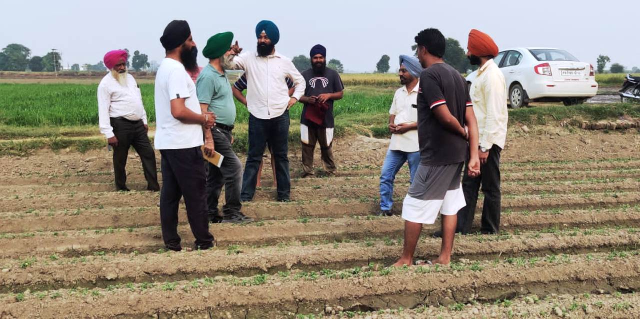 Stubble: ਮਾਝੇ ਦੇ ਇਸ ਕਿਸਾਨ ਨੇ 7 ਸਾਲਾਂ ਤੋਂ ਪਰਾਲੀ ਨੂੰ ਨਹੀਂ ਲਾਈ ਅੱਗ, ਫਸਲਾਂ ਦਾ ਦੁੱਗਣਾ ਝਾੜ ਕਰ ਰਿਹਾ ਹਾਸਲ