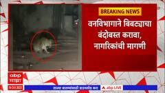 Ahmednagar Leopard : अहमदनगरच्या कोपरगाव शहरात बिबट्याचा वावर, नागरिकांमध्ये भितीचं वातावरण