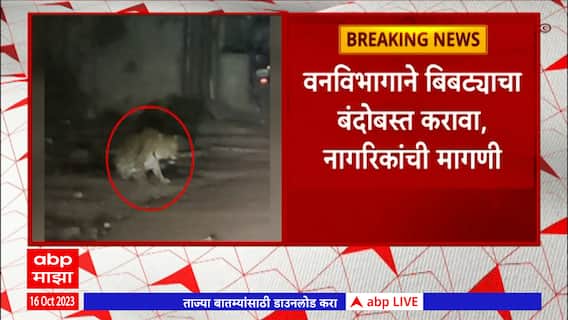 Ahmednagar Leopard : अहमदनगरच्या कोपरगाव शहरात बिबट्याचा वावर, नागरिकांमध्ये भितीचं वातावरण