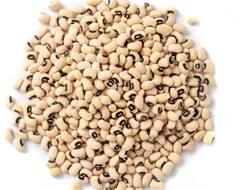 Lifestyle News : जर तुमच्या शरीराला जास्त प्रोटीनची गरज असेल तर चवळीचा नक्की वापर करा, मिळतील दूध, अंड्यांपेक्षा जास्त पोषणतत्वे