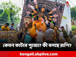 Durga Puja Horoscope: নতুন প্রেম? তুমুল হুল্লোড়? কোন রাশির কেমন কাটবে পুজো?