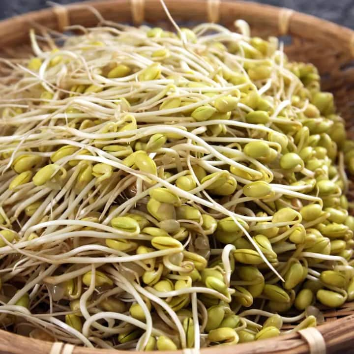 Soybean: ਪੁੰਗਰੇ ਹੋਏ ਸੋਇਆਬੀਨ ਖਾਣ ਸਰੀਰ ਨੂੰ ਕਿਹੜੇ ਕਿਹੜੇ ਮਿਲਦੇ ਫਾਇਦੇ ?