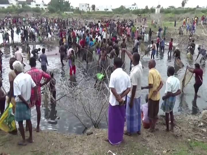 Fishing festival near Dindigul people caught fish with interest TNN திண்டுக்கல் அருகே களைகட்டிய மீன் பிடி திருவிழா...ஆர்வத்துடன் மீன்களை பிடித்த பொதுமக்கள்