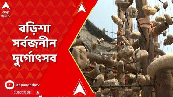 বড়িশা সর্বজনীনের পুজোয় চমক! থিমের নাম 'মাইলস্টোন'