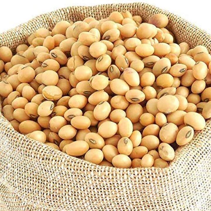 ਜੇਕਰ ਤੁਹਾਡੇ ਸਰੀਰ ਵਿੱਚ ਖੂਨ ਦੀ ਕਮੀ ਹੈ ਤਾਂ ਤੁਹਾਨੂੰ ਪੁੰਗਰੇ ਹੋਏ ਸੋਇਆਬੀਨ ਦਾ ਸੇਵਨ ਕਰਨਾ ਚਾਹੀਦਾ ਹੈ। ਕਿਉਂਕਿ ਇਸ ਵਿਚ ਪਾਇਆ ਜਾਣ ਵਾਲਾ ਆਇਰਨ ਹੀਮੋਗਲੋਬਿਨ ਦਾ ਪੱਧਰ ਵਧਾਉਣ ਵਿਚ ਮਦਦ ਕਰਦਾ ਹੈ, ਜੋ ਅਨੀਮੀਆ ਨੂੰ ਦੂਰ ਕਰਦਾ ਹੈ।