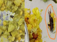 Pune : झुरळ नको...जेवण हवं; पुणे विद्यापीठात जेवणात अळी, विद्यार्थी आक्रमक