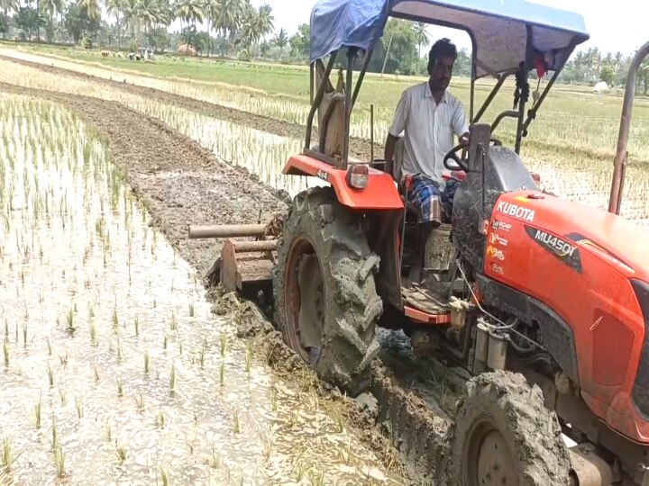 அதிர்ச்சி! ஒரு மாத கால நெற்பயிரை டிராக்டரை ஏற்றி அழித்த விவசாயி - மயிலாடுதுறையில் நடந்தது என்ன?