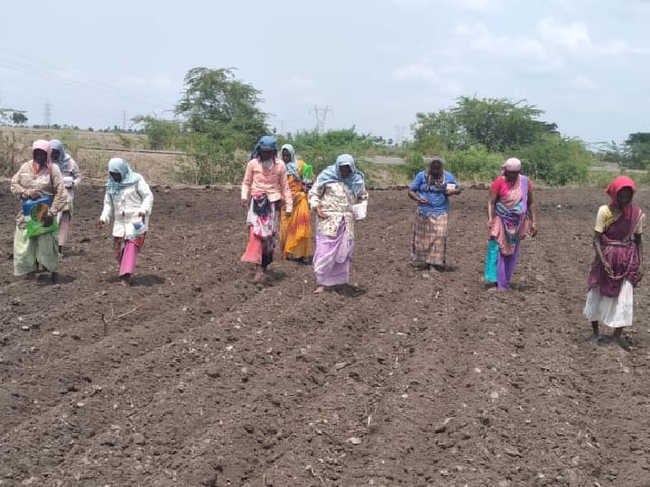 அரை குறை ஈரப்பதத்தில் விதைகள் முளைத்து கெட்டுப் போனதால் 2ஆம் முறையாக விதை ஊண்றும் விவசாயிகள்