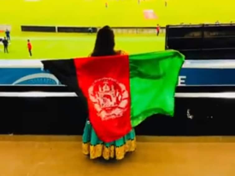 Afghanistan influencer Wazhma Ayoubi viral video celebrates Afghanistan ODI World Cup Win Over England WATCH: Afghanistan Mystery Fan Celebrates Team's Maiden ODI World Cup Win Over England