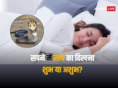 क्या आपको भी सपने में अक्सर सांप दिखता है?, जानें सपने में सांप का दिखना शुभ या अशुभ, जानें