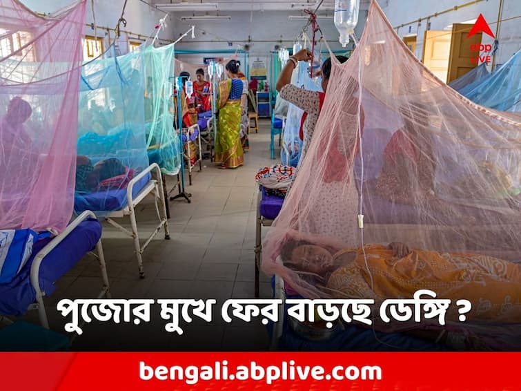 Dengue Situation in Kolkata in Durga Pujo days affected number death increase Dengue: পুজোর মুখে নতুন করে চিন্তা বাড়াচ্ছে ডেঙ্গি, এক সপ্তাহে ফের বাড়ল আক্রান্তের সংখ্যা