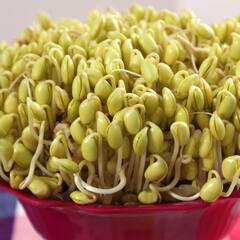 Soybean: ਪੁੰਗਰੇ ਹੋਏ ਸੋਇਆਬੀਨ ਖਾਣ ਸਰੀਰ ਨੂੰ ਕਿਹੜੇ ਕਿਹੜੇ ਮਿਲਦੇ ਫਾਇਦੇ ?