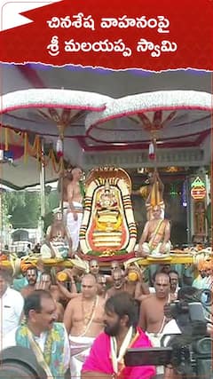 చిన శేష వాహనంపై ఊరేగుతున్న మలయప్ప స్వామి