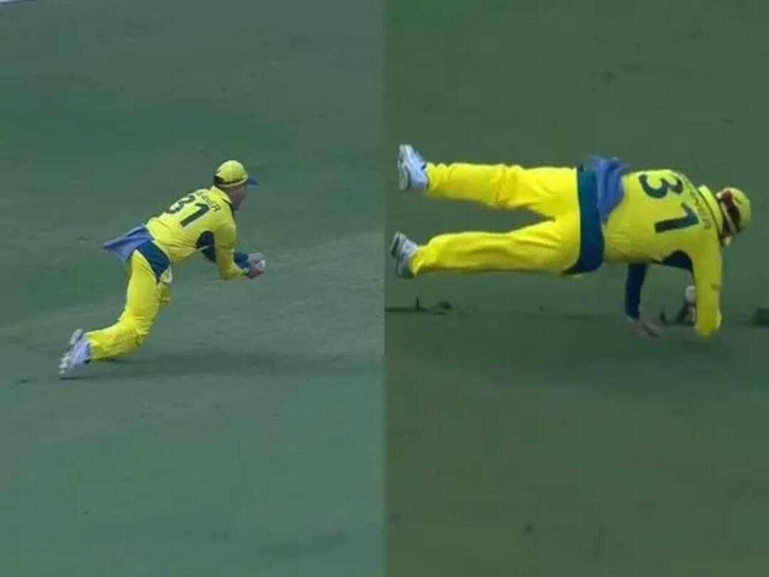 ODI World Cup 2023: 'என்னை தாண்டி...’ டைவ் அடித்து கேட்ச் பிடித்த டேவிட் வார்னர்... வைரல் வீடியோ! David Warner's superman effort at deep mid wicket during AUS vs SL clash- Video Highlights of the Day ODI World Cup 2023: 'என்னை தாண்டி...’ டைவ் அடித்து கேட்ச் பிடித்த டேவிட் வார்னர்... வைரல் வீடியோ!