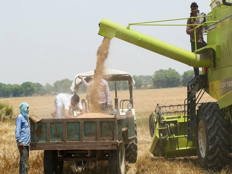 Agriculture News: Another major decision of the state government in the interest of farmers extended the date of registration for purchase at support prices Support Price: ખેડૂતોનો હિતમાં રાજ્ય સરકારનો વધુ એક મોટો નિર્ણય, ટેકાના ભાવે ખરીદી માટેની નોંધણીની તારીખ લંબાવી