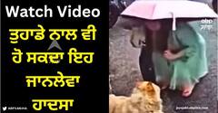 Viral Video: ਕਦੇ ਵੀ ਆਵਾਰਾ ਕੁੱਤੇ ਦੇ ਇੰਨੇ ਨੇੜੇ ਨਾ ਜਾਓ, ਨਹੀਂ ਤਾਂ ਤੁਹਾਡੇ ਨਾਲ ਵੀ ਹੋ ਸਕਦਾ ਇਹ ਜਾਨਲੇਵਾ ਹਾਦਸਾ