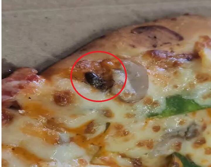 Surat News  A cockroach found from pizza was served the video went viral Surat: પીઝા આરોગતા પહેલાં ચેતી જજો, અમદાવાદ બાદ સુરતમાં નીકળ્યો વંદો, વીડિયો થયો વાયરલ