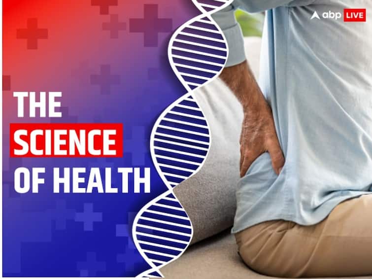 World Spine Day 2023 Spinal Cord Injuries Irreversible Know Science Advances That Can Cure Them In The Future The Science Of Health ABPP The Science Of Health: Are Spinal Cord Injuries Irreversible? Know Science Advances That Can Cure Them In The Future