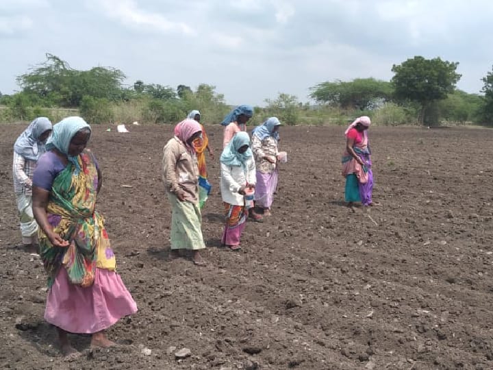 அரை குறை ஈரப்பதத்தில் விதைகள் முளைத்து கெட்டுப் போனதால் 2ஆம் முறையாக விதை ஊண்றும் விவசாயிகள்