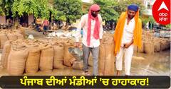 Punjab News: ਪੰਜਾਬ ਦੀਆਂ ਮੰਡੀਆਂ 'ਚ ਹਾਹਾਕਾਰ! ਬਾਰਸ਼ ਸ਼ੁਰੂ, ਪੌਣੇ ਤਿੰਨ ਕਰੋੜ ਬੋਰੀ ਖੁੱਲ੍ਹੇ ਆਸਮਾਨ ਹੇਠ