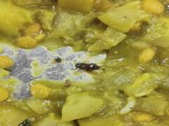 Pune : झुरळ नको...जेवण हवं; पुणे विद्यापीठात जेवणात अळी, विद्यार्थी आक्रमक