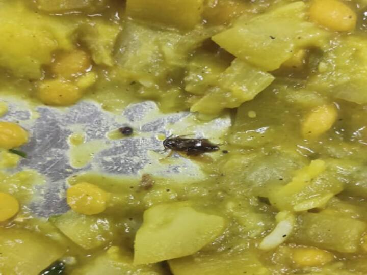 सावित्रीबाई फुले पुणे विद्यापीठाच्या मुलांच्या मेसमधे जेवणात अळ्या आढळून आल्यात.