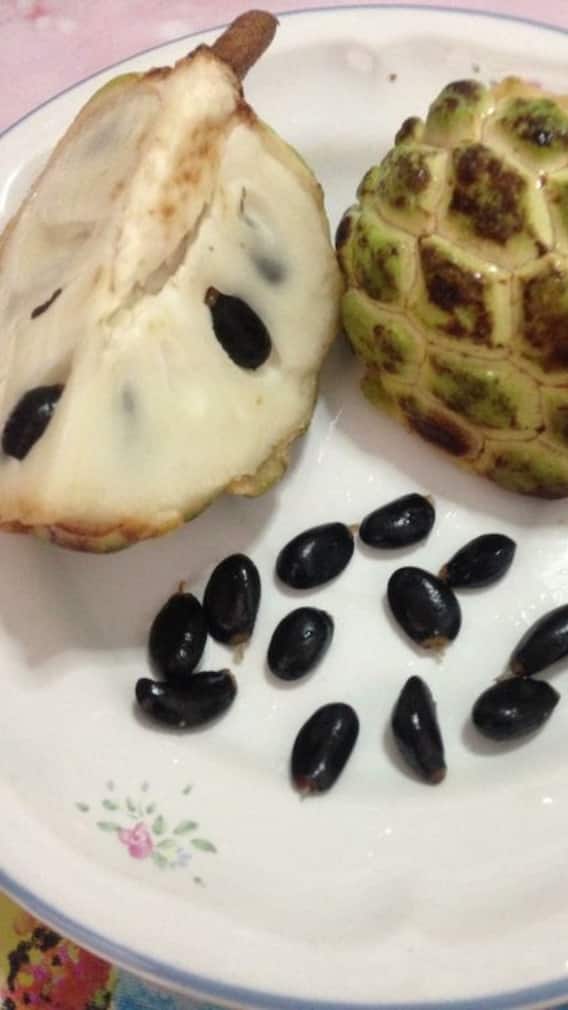 સીતાફળના બીજ કાઢવાની જાદુઈ ટ્રીક!