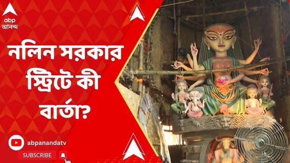 নলিন সরকার স্ট্রিটের সাজছে মণ্ডপ, থিমের নাম 'সম্ভাবনা'