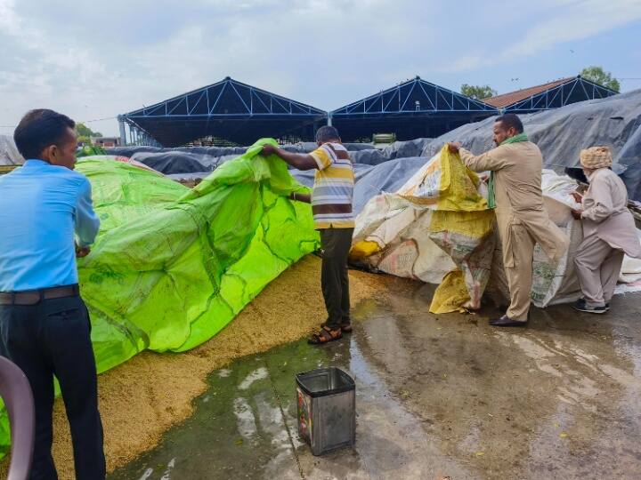 Weather Update Today 17 October haryana Punjab, imd forecast rain alert gurugram ambala amritsar patiala ka mausam Haryana & Punjab Weather Today: हरियाणा-पंजाब में झूमकर बरसे बादल, तेज हवाओं के साथ गिरे ओले, प्रदूषण लेवल में हुआ परिवर्तन