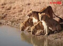 End of Earth: ਇਸ ਥਾਂ ਨੂੰ ਕਹਿੰਦੇ ਧਰਤੀ ਦਾ ਅੰਤ, ਇਕੱਲੇ ਕੋਈ ਨਹੀਂ ਜਾ ਸਕਦੇ ਇੱਥੇ