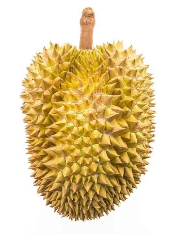 कटहल खाने से शरीर को मिलते हैं ये फायदे