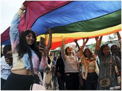 समलैंगिक विवाह की चर्चा के बीच जानते हैं... आखिर ये 8 रंग के झंडे का क्या मतलब है?