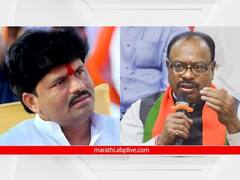 टीका करताना मर्यादीत आणि तर्कसंगत टीका करा, सुधीर मुनगंटीवारांचा गोपीचंद पडळकरांना सल्ला