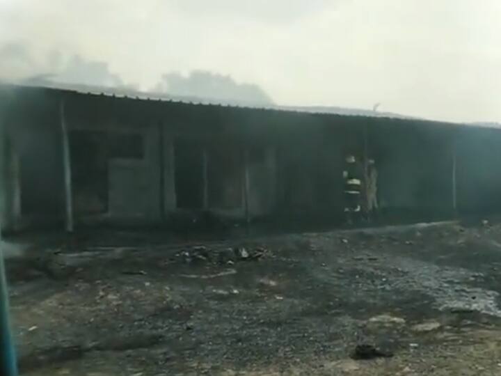 Firecracker Explosions: तमिलनाडु में दो पटाखा फैक्ट्री में विस्फोट, 11 लोगों की गई जान Tamil Nadu Virudhunagar Firecracker Explosions Many Died and Injured Firecracker Explosions: तमिलनाडु में दो पटाखा फैक्ट्री में विस्फोट, 11 लोगों की गई जान