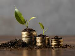 Mutual Funds: इन म्यूचुअल फंड्स ने कराई जोरदार कमाई, 30 से 34 गुना दिया रिटर्न