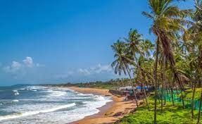 Discover Goa's Finest Beach Destinations