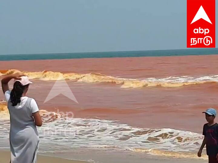 Puducherry sea area suddenly changed red color Tourists in shock TNN திடீரென நிறம் மாறிய புதுச்சேரி கடல் நீர்...  அதிர்ச்சியில் சுற்றுலா பயணிகள்