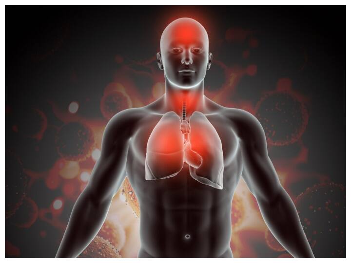 कई बार हमारी कुछ आदतें ऐसी होती हैं, जिनसे हमें नुकसान होता है, लेकिन हमें इसका पता नहीं चल पाता. ये आदतें धीरे-धीरे हमारी लत बन जाती हैं, और हमारे दिमाग और शरीर दोनों को प्रभावित करती हैं. ऐसी हानिकारक आदतों से बचना बहुत ज़रूरी है, नहीं तो ये हमारी जीवनशैली और स्वास्थ्य को नुकसान पहुंचा सकती हैं. इसलिए जरूरी है कि हम अपनी बुरी आदतों को पहचानें और उन्हें तुरंत छोड़ दें. साथ ही स्वस्थ और अच्छी आदतों को अपनाएं ताकि हमारा जीवन स्वस्थ और खुशहाल बना रहे. आइए हम उन आदतों के बारे में जानें जो हमारे लिए हानिकारक हो सकती हैं.