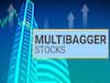 Multibagger Stock: ఒక్క ఏడాదిలో ₹లక్షను దాదాపు ₹5 లక్షలు చేసిన మల్టీబ్యాగర్‌, ఆరు నెలల్లోనే డబ్బులు డబుల్‌