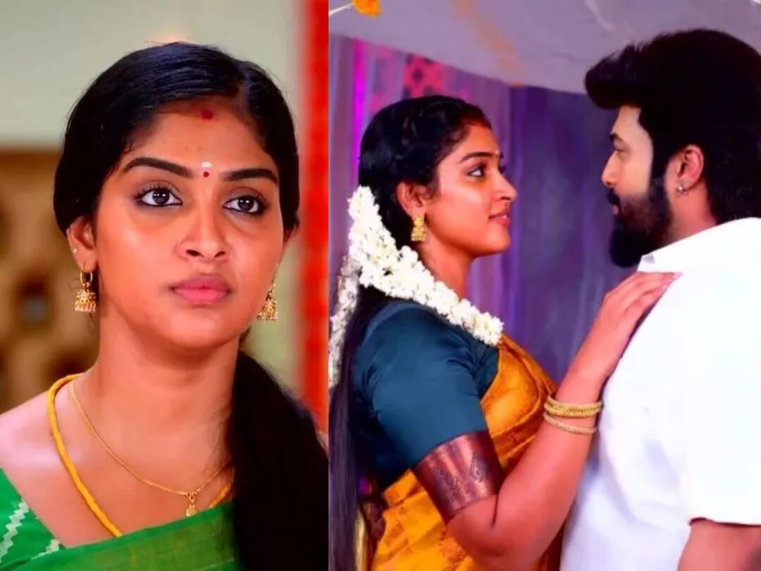 Karthigai Deepam October 17th Episode Zee Tamil popular serial today episode update details Karthigai Deepam: கார்த்திக்கிடம் உண்மையை சொல்ல முடிவெடுத்த மீனாட்சி.. ட்விஸ்ட் கொடுத்த தீபா - கார்த்திகை தீபம் இன்று!