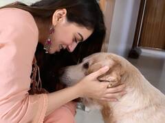 Hansika Motwani Pet : செல்லப்பிராணியை இழந்த சோகத்தில் வாடும் ஹன்சிகா!