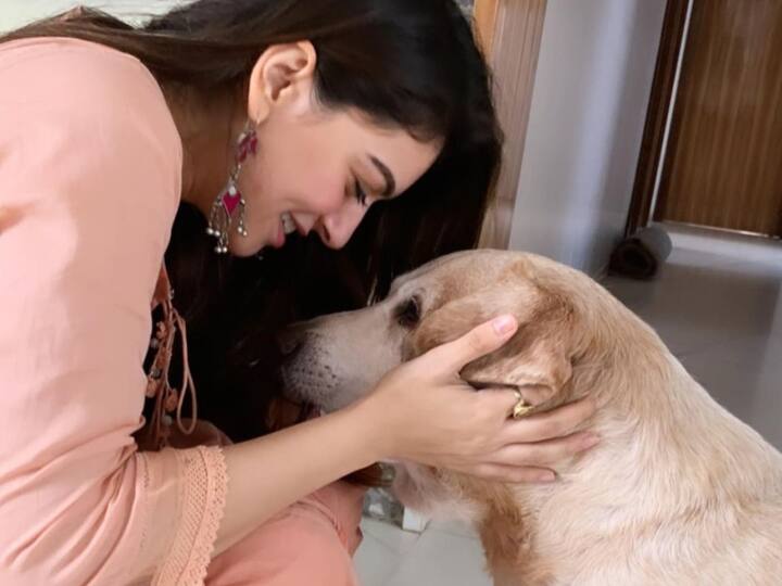 Hansika Motwani Pet : நடிகை ஹன்சிகா தனது செல்லப்பிராணியான ப்ரூஸோவின் புகைப்படங்களை ஷேர் செய்து உருக்கமாக பதிவிட்டுள்ளார்.