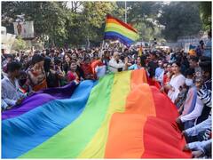 समलैंगिक विवाह की चर्चा के बीच जानते हैं... आखिर ये 8 रंग के झंडे का क्या मतलब है?