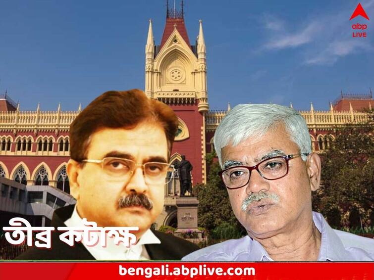 Calcutta High Court Justice Abhijit Ganguly says Visva Bharati VC Bidyut Chakraborty should be removed Justice Abhijit Ganguly: বিশ্বভারতীর উপাচার্যকে অপসারণ করা উচিত, বললেন বিচারপতি গঙ্গোপাধ্যায়